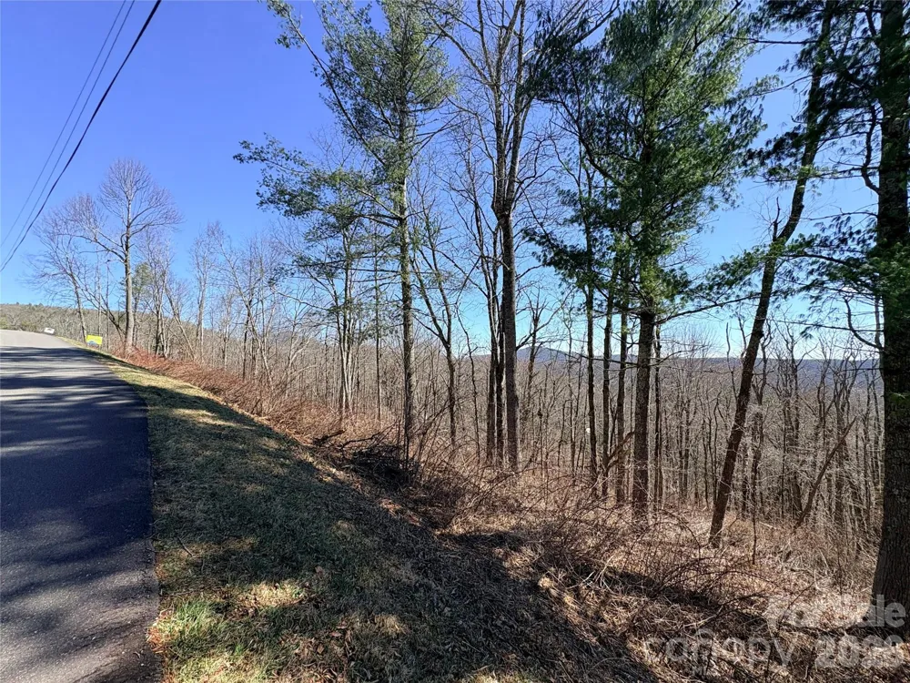 Lot 67 Linhigh Drive Linville, NC 28646