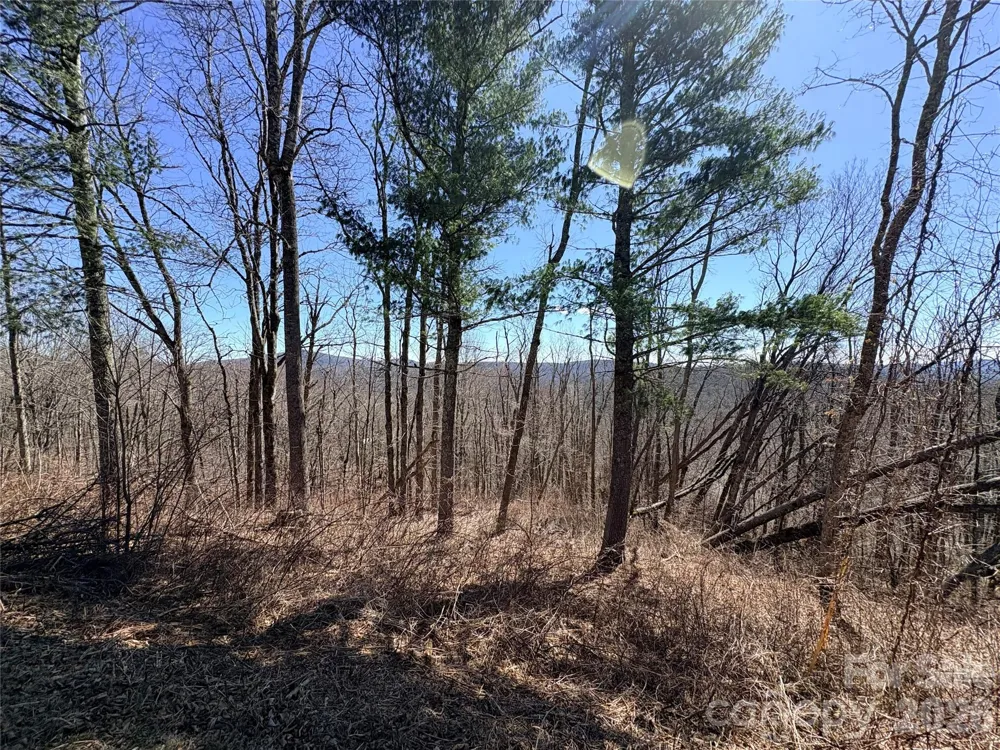 Lot 67 Linhigh Drive Linville, NC 28646