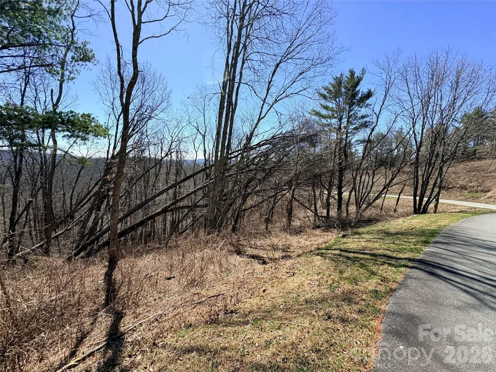 Lot 67 Linhigh Drive Linville, NC 28646