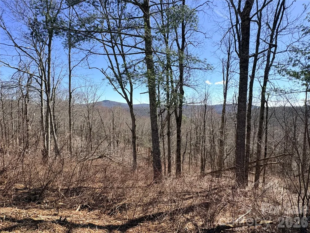 Lot 67 Linhigh Drive Linville, NC 28646
