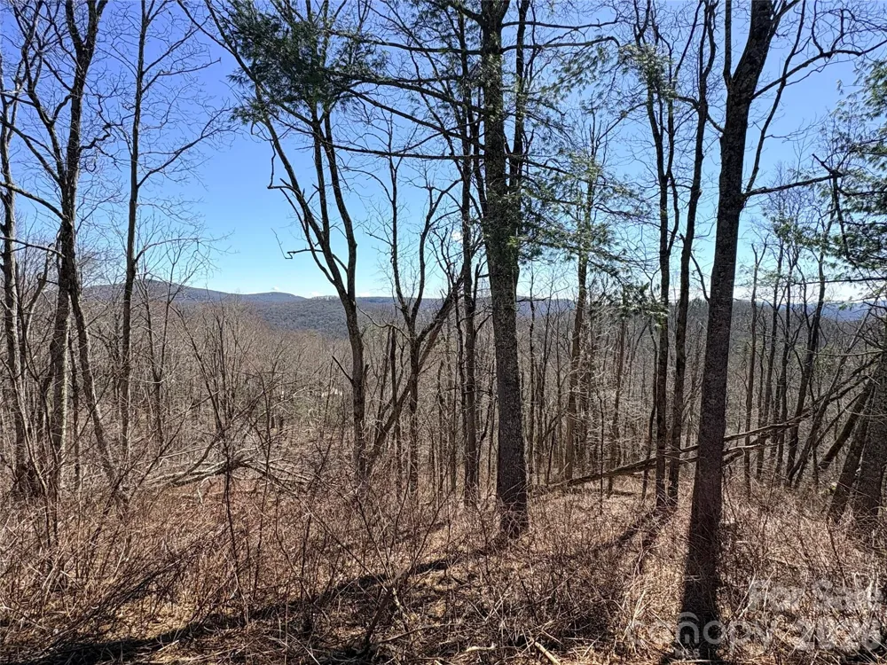 Lot 67 Linhigh Drive Linville, NC 28646