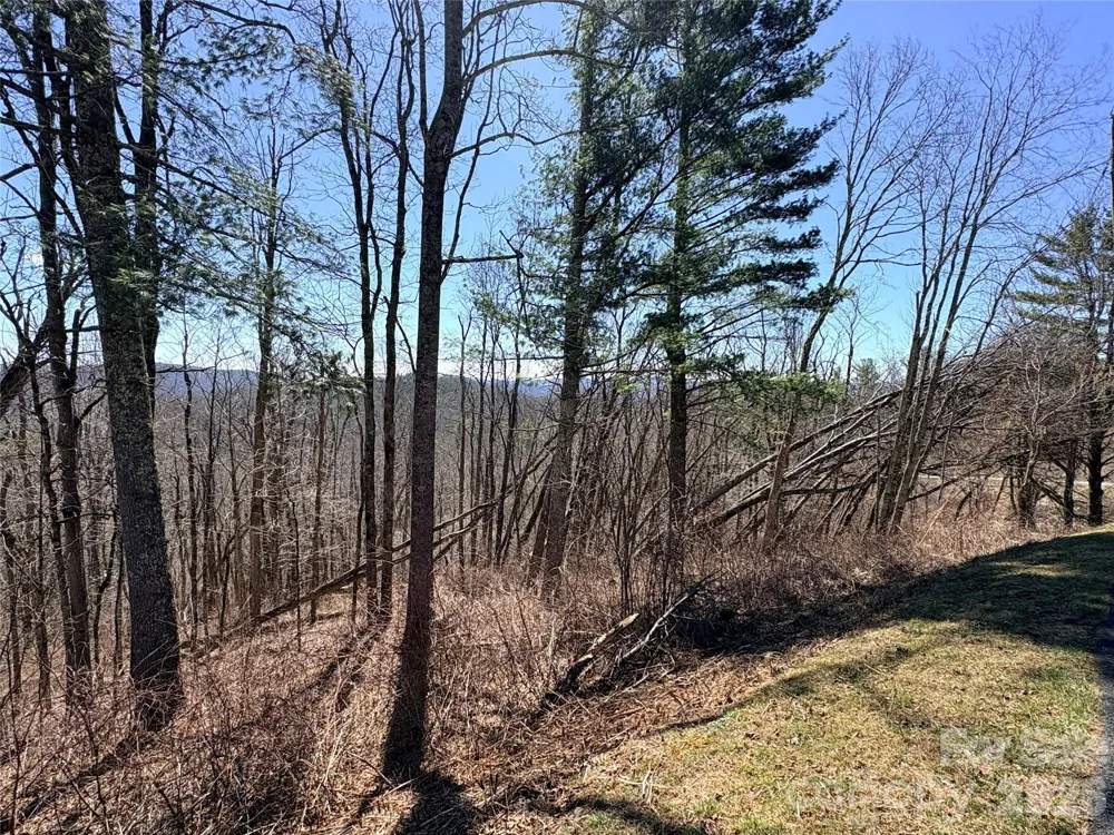 Lot 67 Linhigh Drive Linville, NC 28646