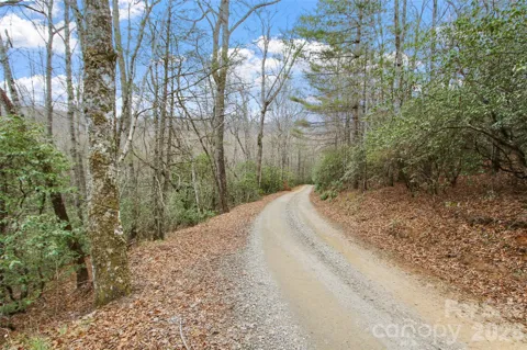 Lot 12 Patton Thicket Road