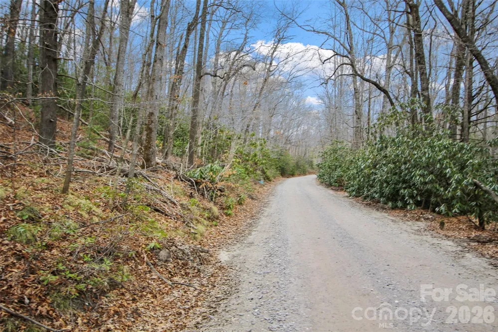 Lot 12 Patton Thicket Road Burnsville, NC 28714