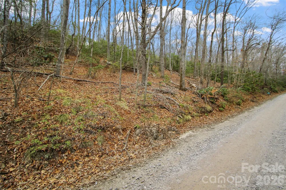 Lot 12 Patton Thicket Road Burnsville, NC 28714