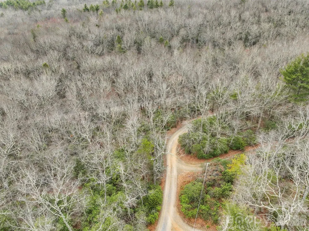 Lot 12 Patton Thicket Road Burnsville, NC 28714