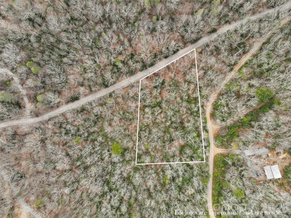 Lot 12 Patton Thicket Road Burnsville, NC 28714