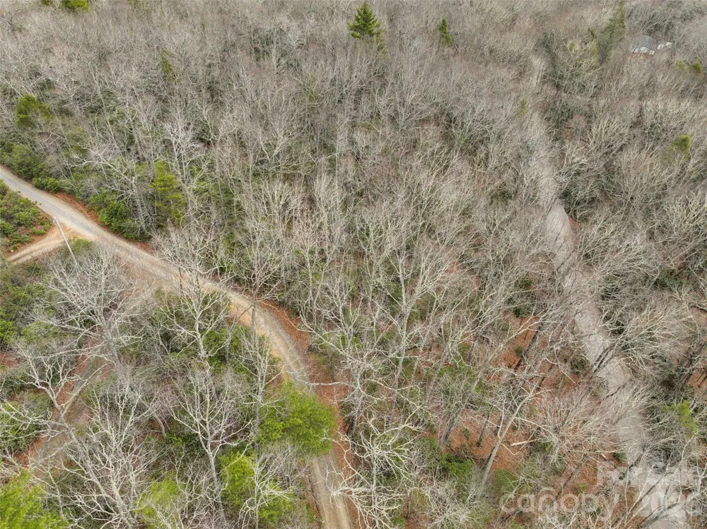 Lot 12 Patton Thicket Road Burnsville, NC 28714