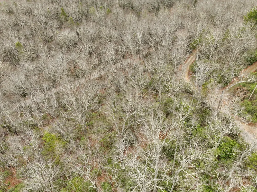 Lot 12 Patton Thicket Road Burnsville, NC 28714
