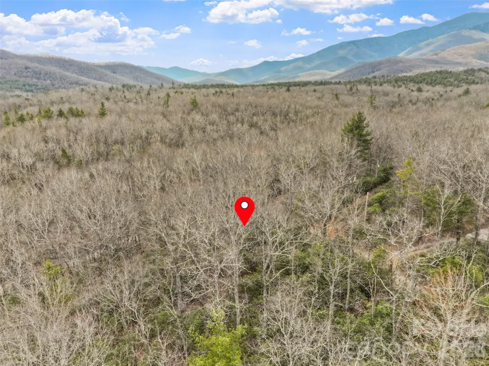 Lot 12 Patton Thicket Road Burnsville, NC 28714