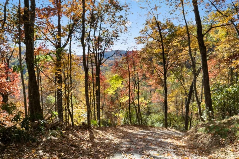 Waterfall Hollow Whittier, NC 28789