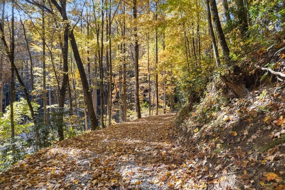 Waterfall Hollow Whittier, NC 28789