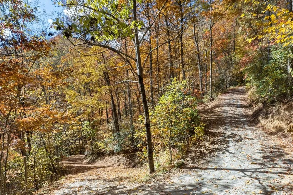 Waterfall Hollow Whittier, NC 28789