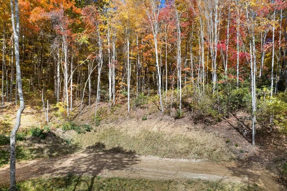 Waterfall Hollow Whittier, NC 28789