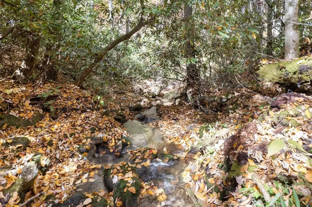 Waterfall Hollow Whittier, NC 28789