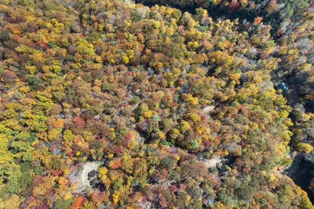 Waterfall Hollow Whittier, NC 28789