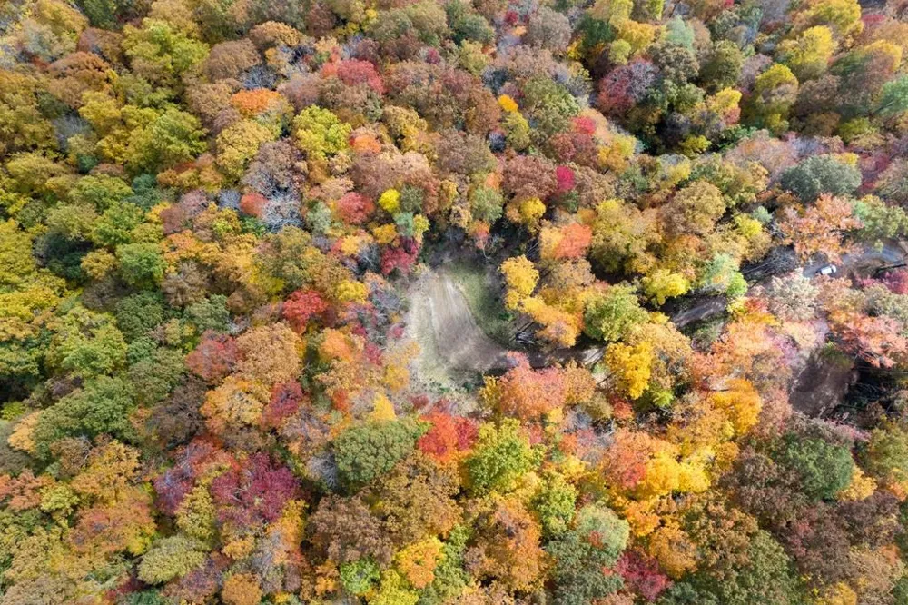 Waterfall Hollow Whittier, NC 28789