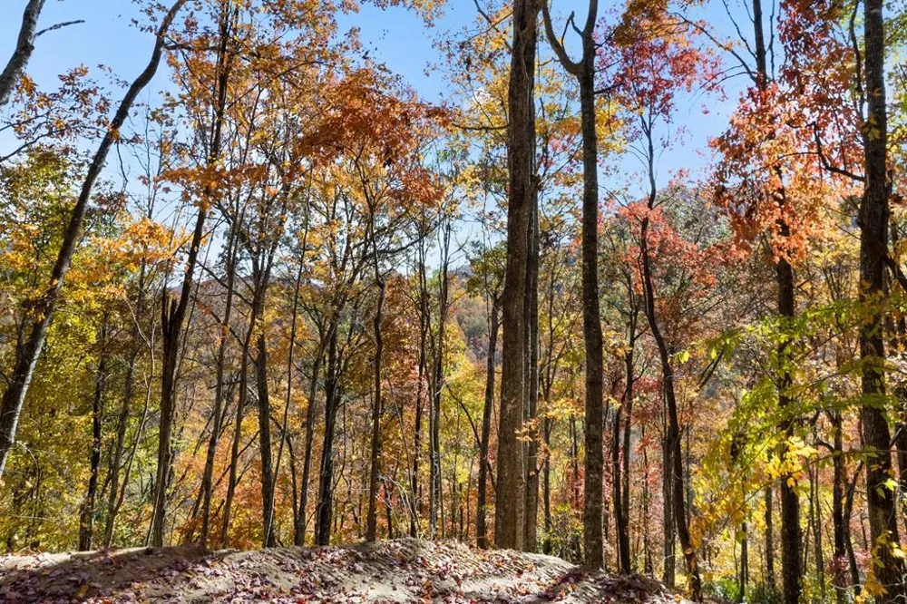 Waterfall Hollow Whittier, NC 28789