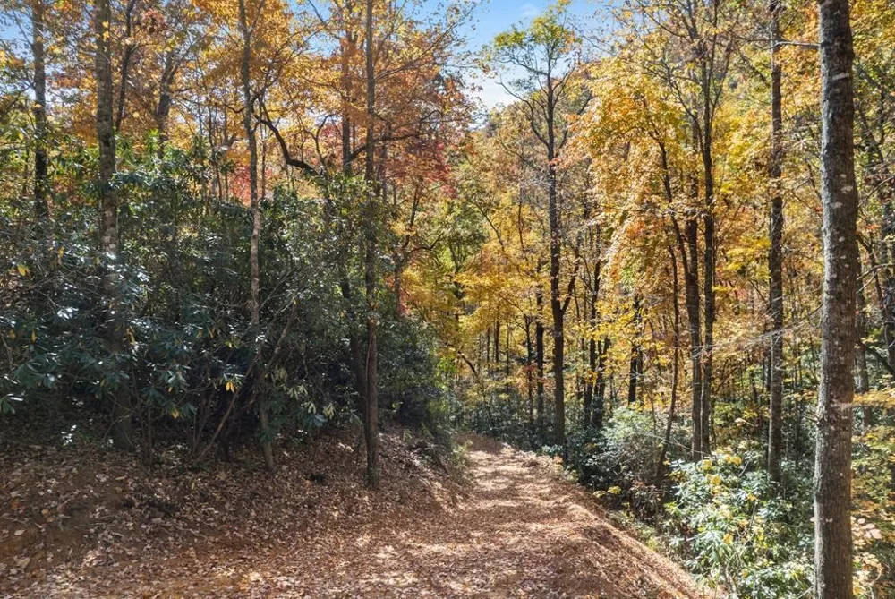 Waterfall Hollow Whittier, NC 28789
