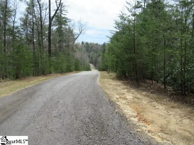 315 Falcon Crest Way Pickens, SC 29671