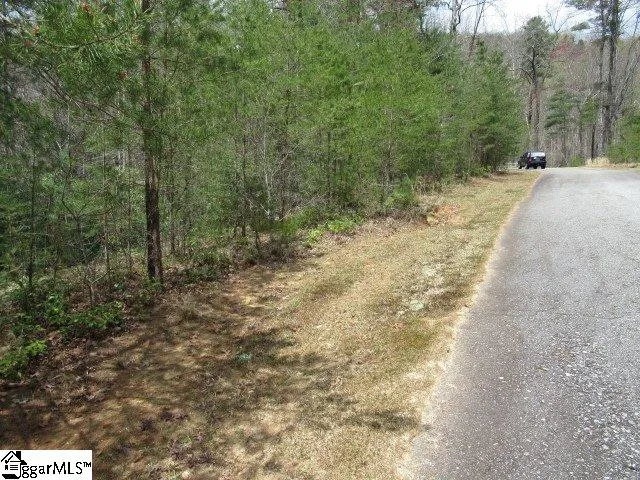315 Falcon Crest Way Pickens, SC 29671