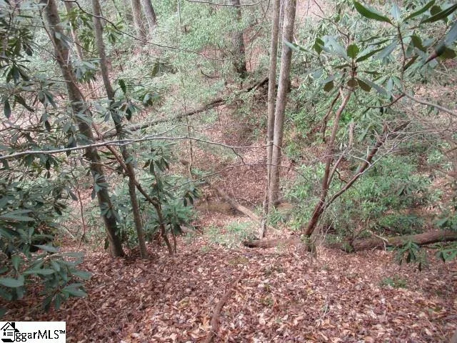 315 Falcon Crest Way Pickens, SC 29671
