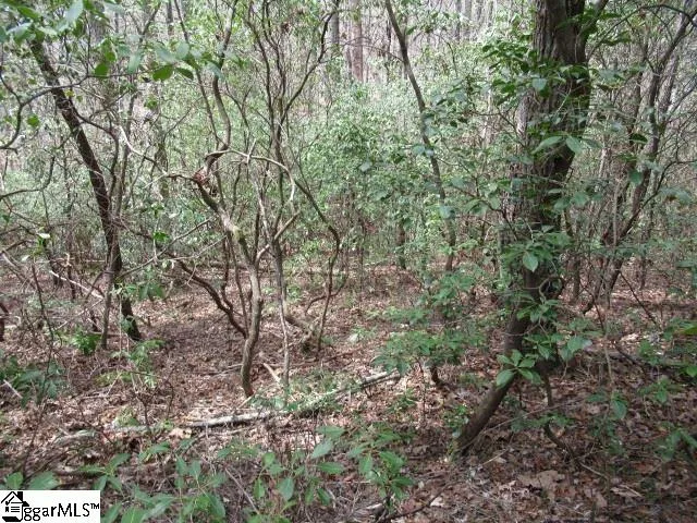 315 Falcon Crest Way Pickens, SC 29671