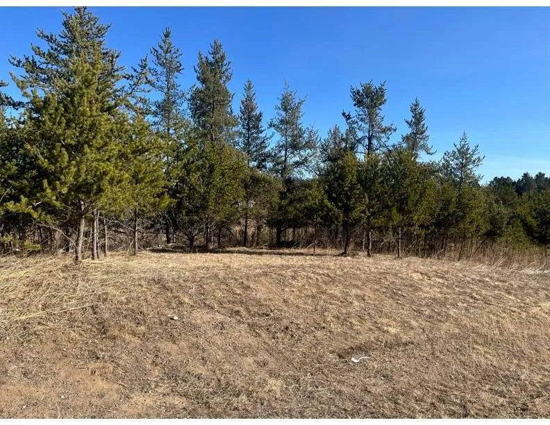 TBD 1st Avenue Breezy Point, MN 56472