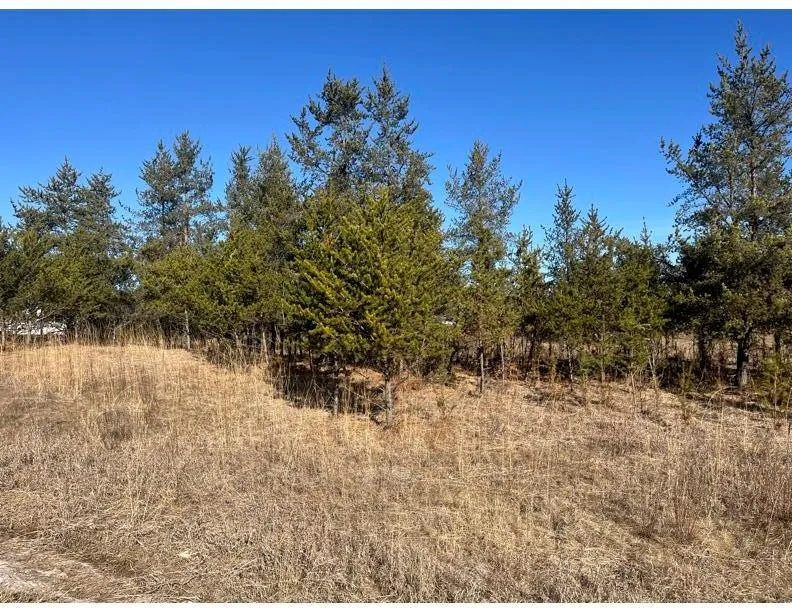 TBD 1st Avenue Breezy Point, MN 56472