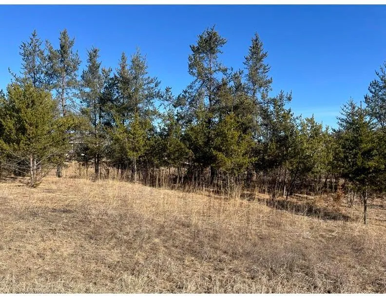 TBD 1st Avenue Breezy Point, MN 56472