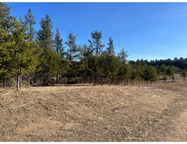 TBD 1st Avenue Breezy Point, MN 56472
