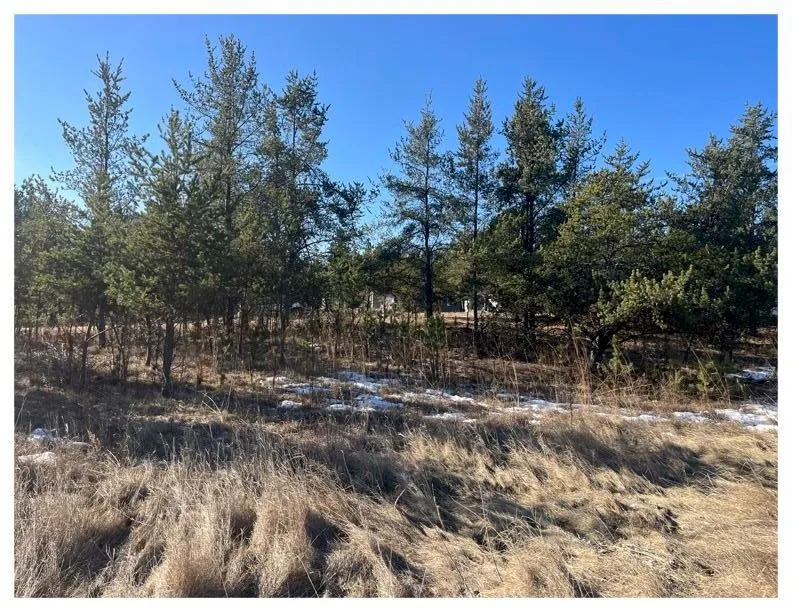 TBD 1st Avenue Breezy Point, MN 56472