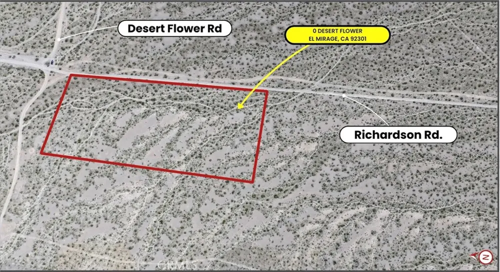 Desert Flower El Mirage, CA 92301