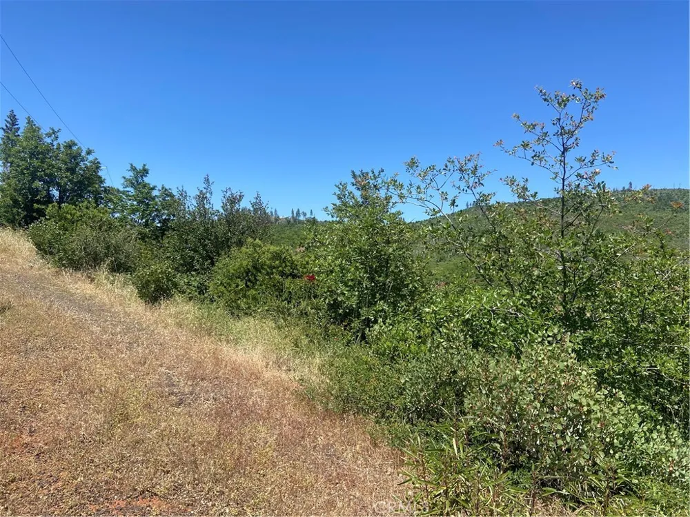 3510 Stone Mountain Road Oroville, CA 95965