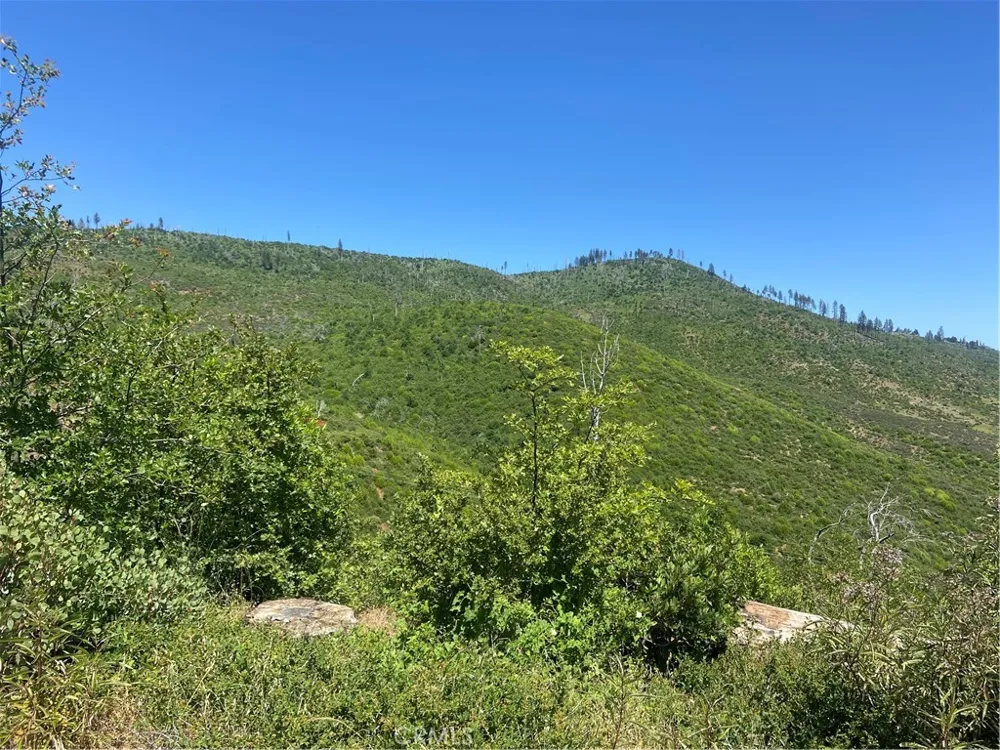 3510 Stone Mountain Road Oroville, CA 95965