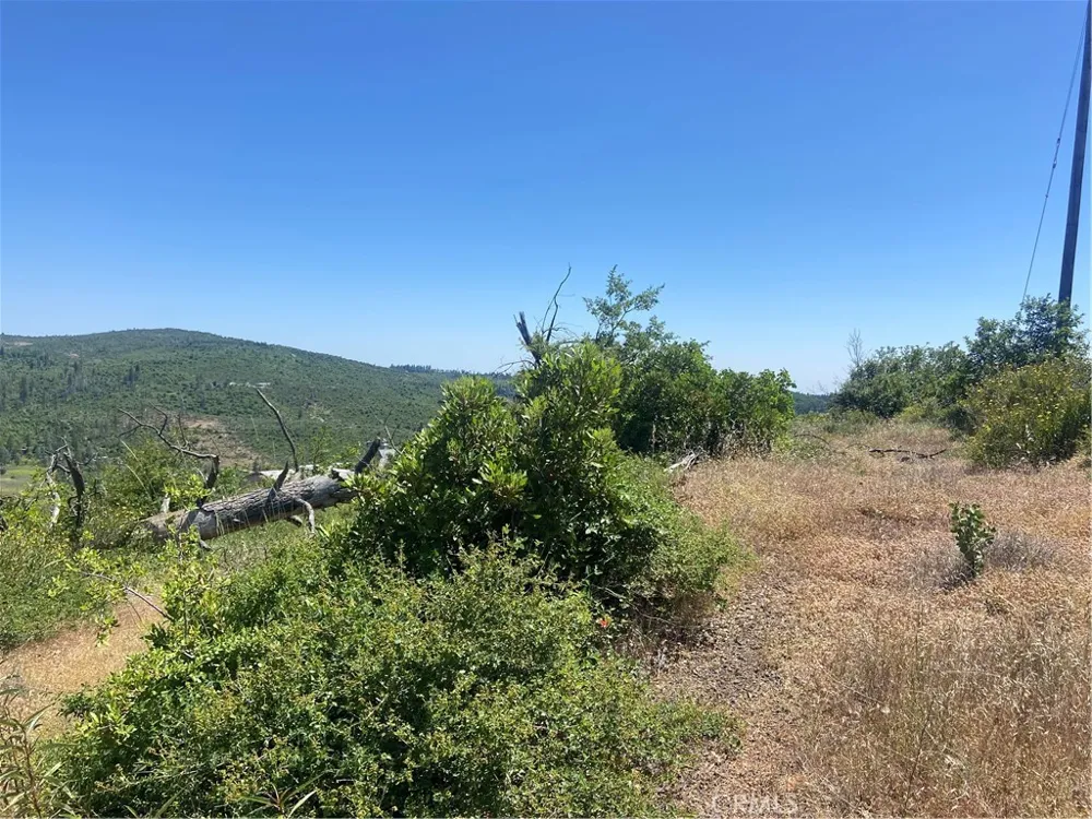 3510 Stone Mountain Road Oroville, CA 95965