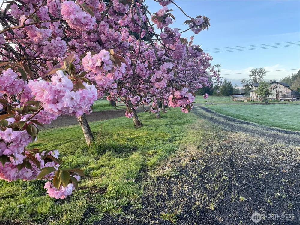 862 King Road Winlock, WA 98596