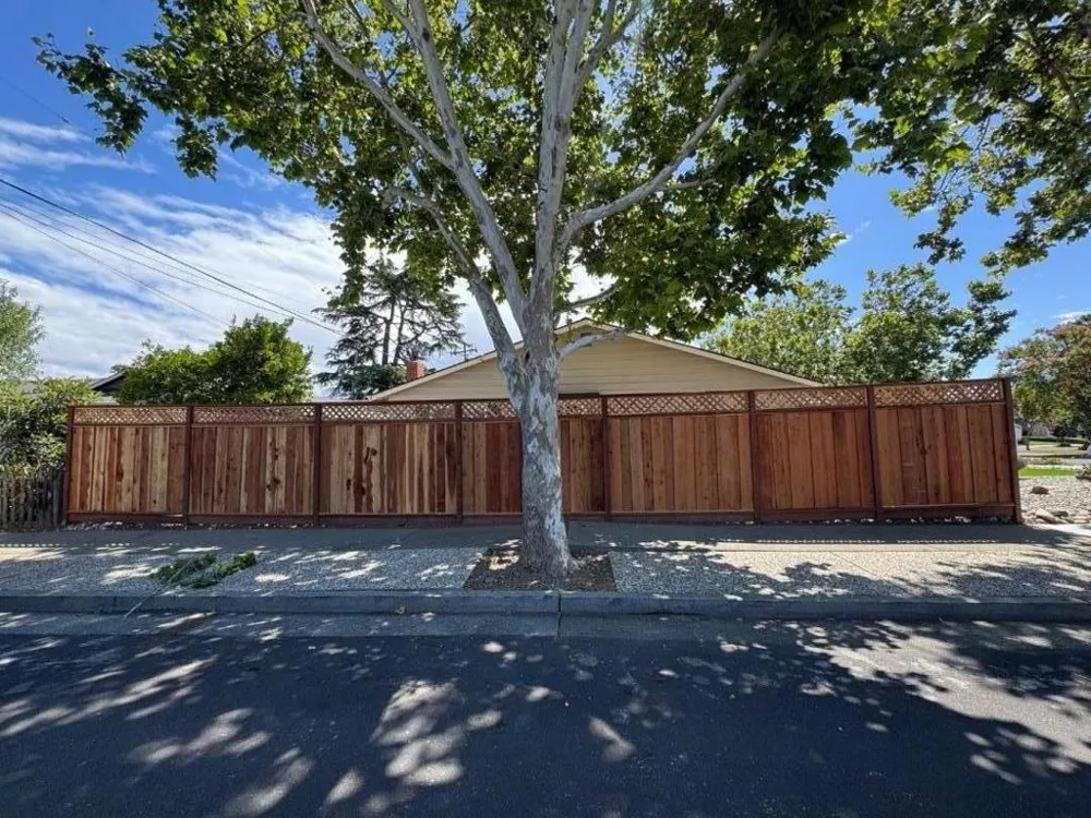 1375 Colleen Way Campbell, CA 95008