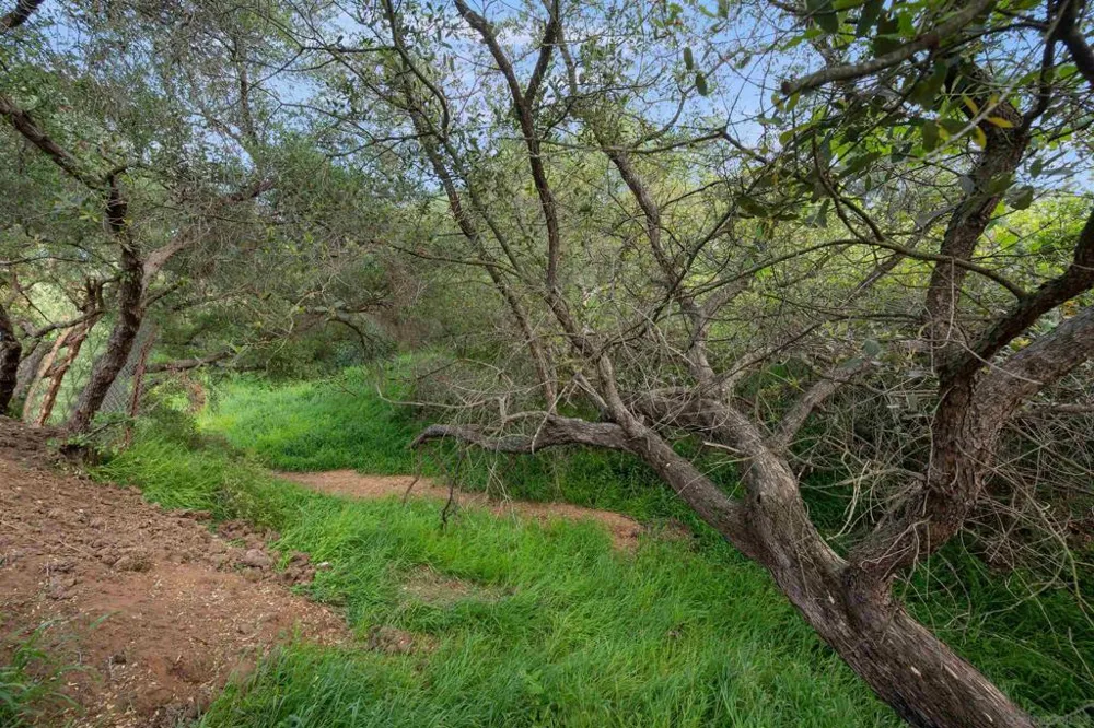 Silverbrook Dr El Cajon, CA 92019
