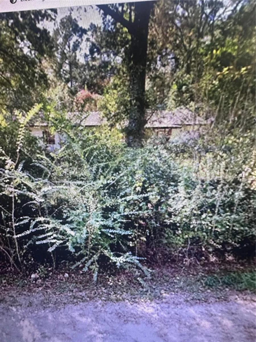 2180 BONIFAY GRITNEY ROAD Caryville, FL 32425