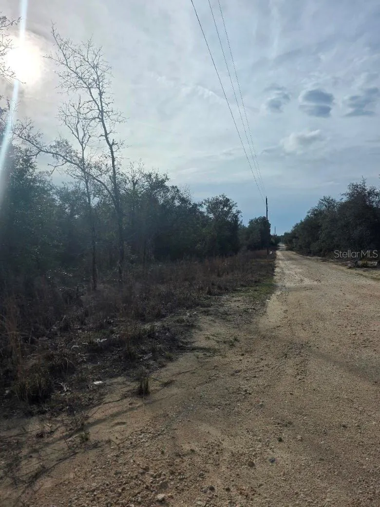 NE 62 PLACE Williston, FL 32696