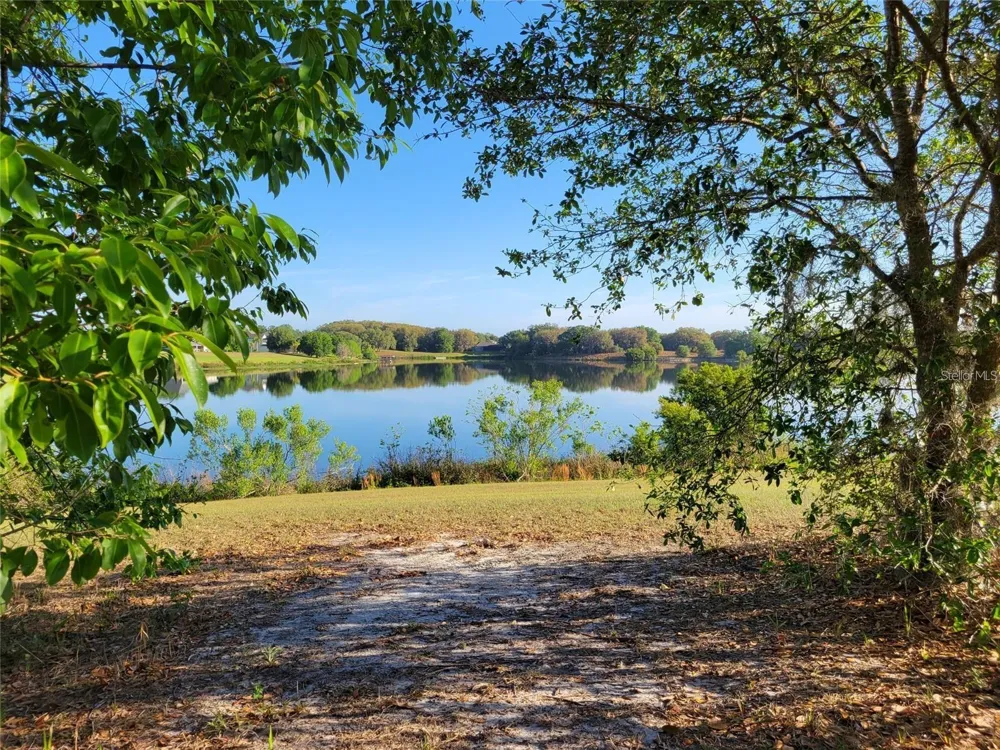 36717 BARRINGTON DRIVE Eustis, FL 32736