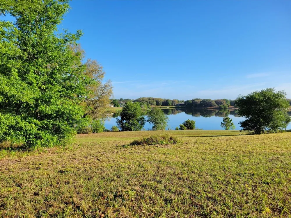 36717 BARRINGTON DRIVE Eustis, FL 32736