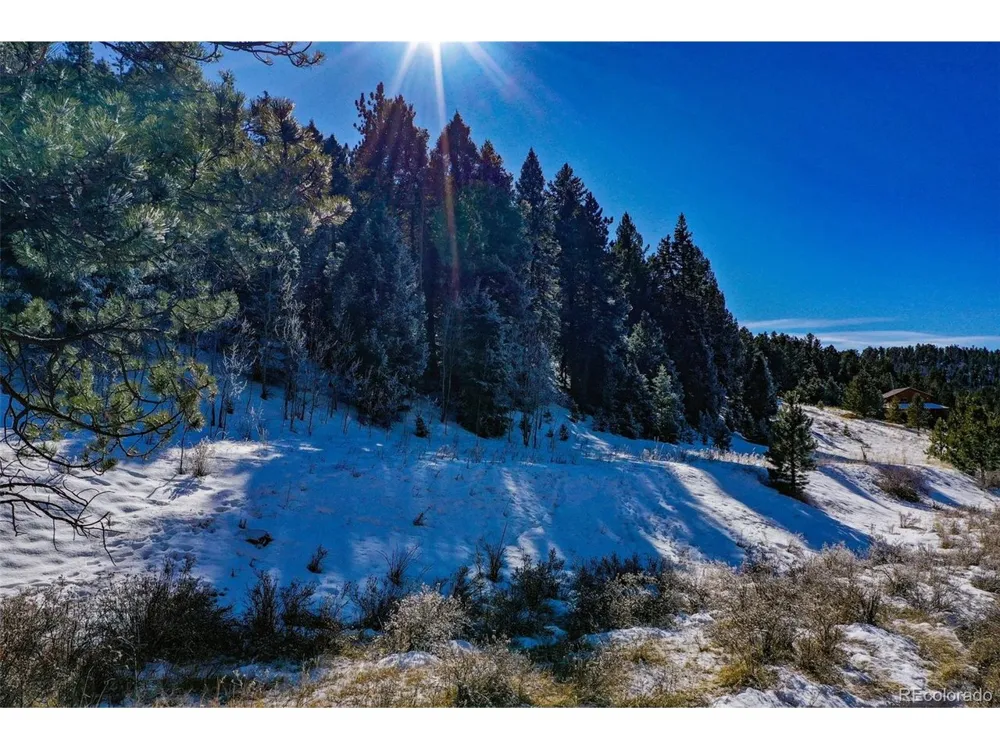 278 Penrose Circle Florissant, CO 80816