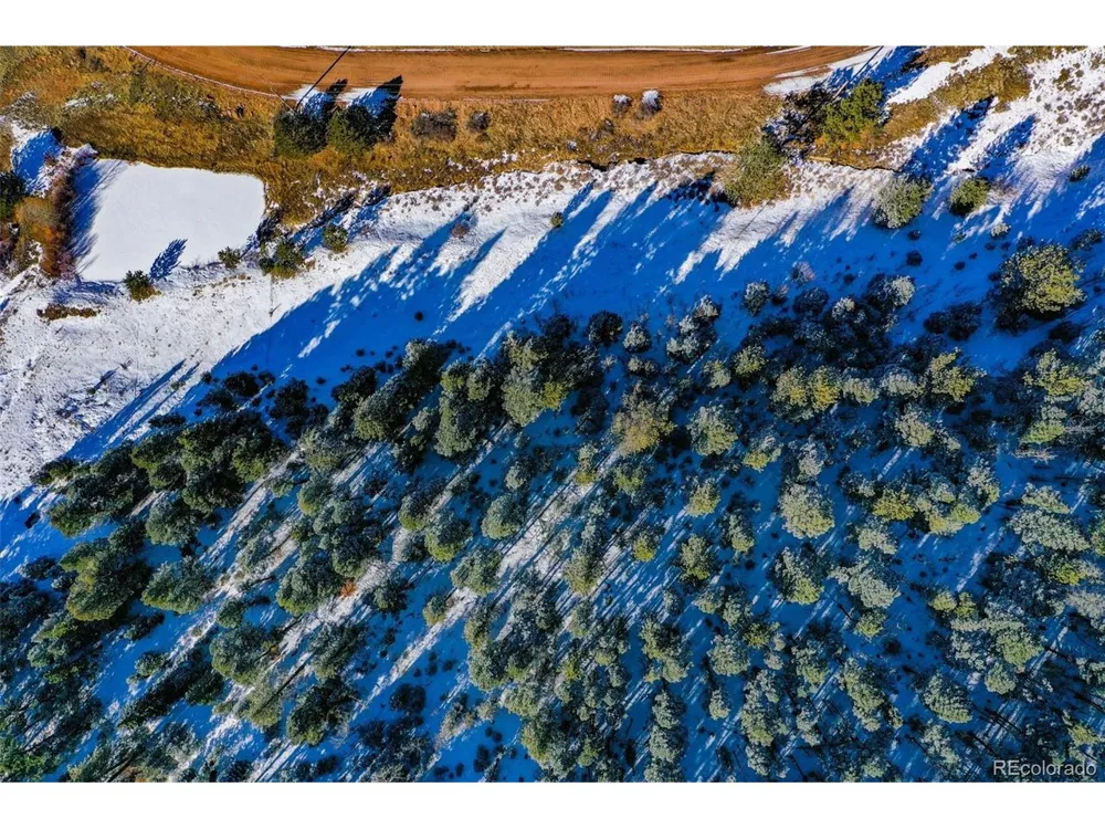 278 Penrose Circle Florissant, CO 80816