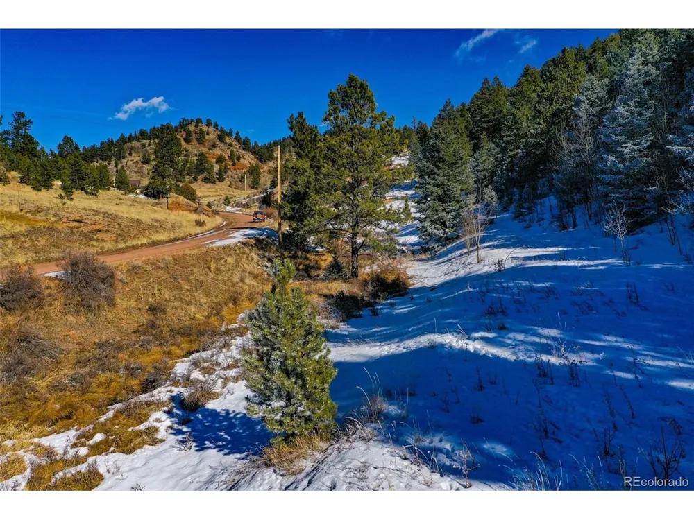 278 Penrose Circle Florissant, CO 80816