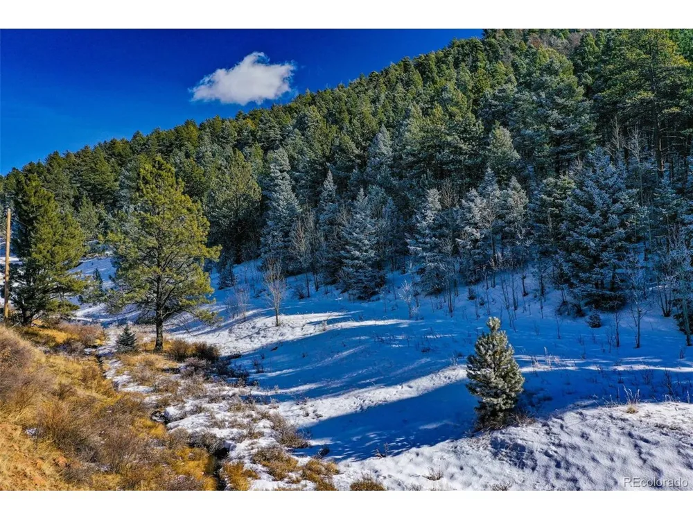 278 Penrose Circle Florissant, CO 80816