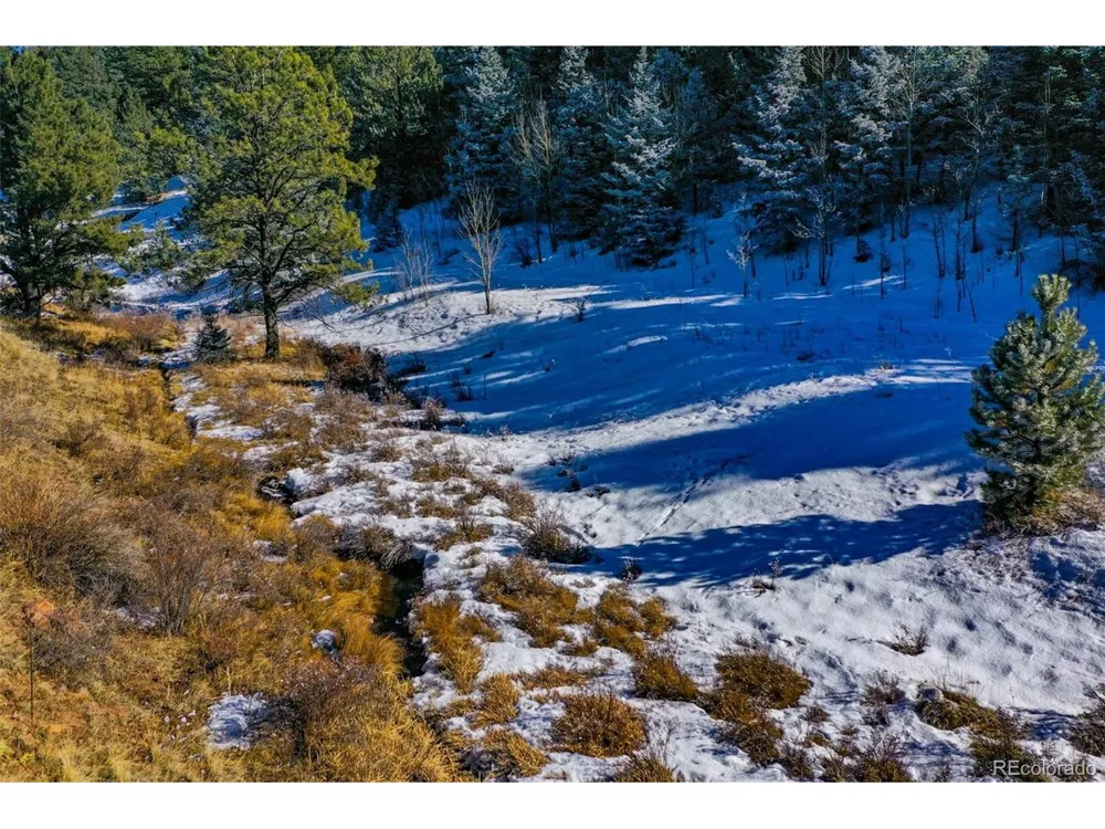 278 Penrose Circle Florissant, CO 80816