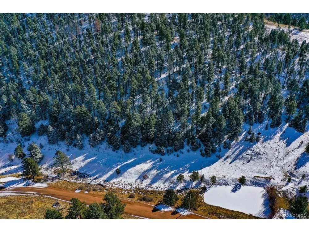 278 Penrose Circle Florissant, CO 80816