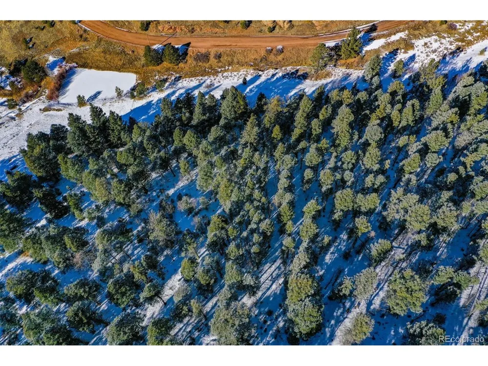 278 Penrose Circle Florissant, CO 80816